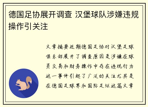 德国足协展开调查 汉堡球队涉嫌违规操作引关注