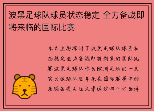 波黑足球队球员状态稳定 全力备战即将来临的国际比赛