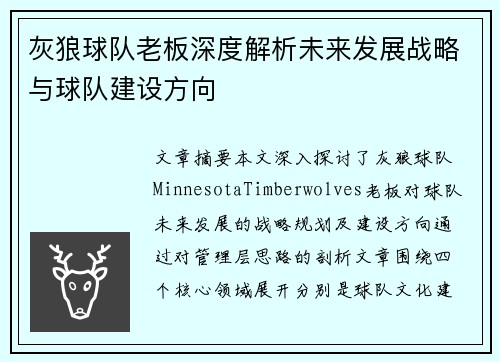 灰狼球队老板深度解析未来发展战略与球队建设方向